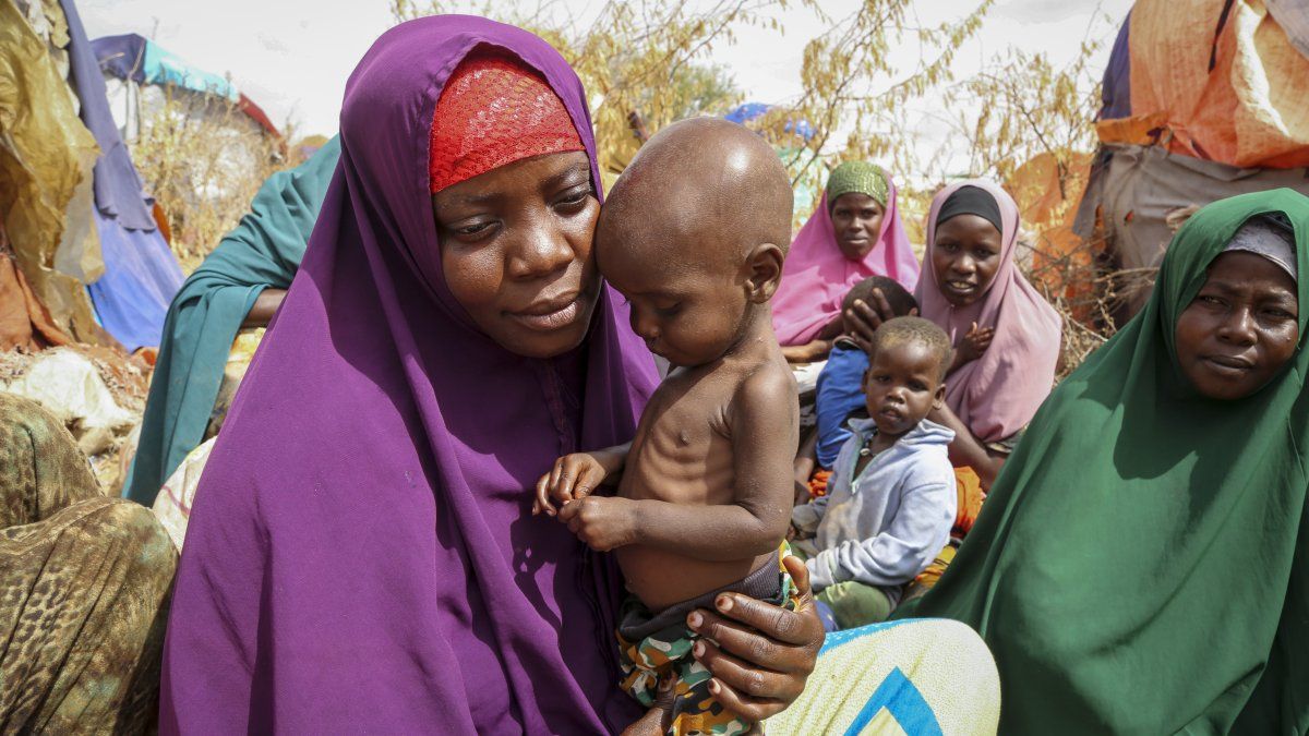 More than 735 million people suffer from chronic hunger in the world