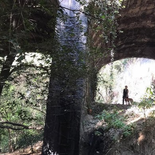 El parque oculto con puentes antiguos de la CDMX para disfrutar una tarde lejos del ruido en diciembre 2025 El parque oculto con puentes antiguos de la CDMX para disfrutar una tarde lejos del ruido en diciembre 2025