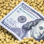 Las compras de soja norteamericana por parte de China son similares a la de años previos. Las compras de soja norteamericana por parte de China son similares a la de años previos.