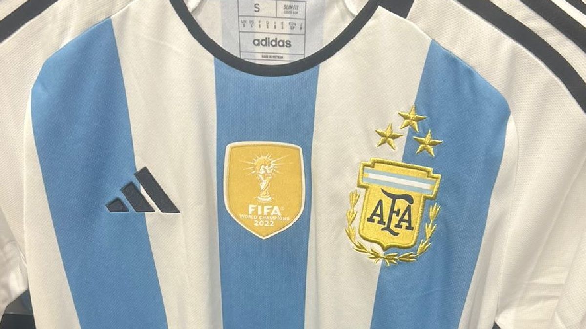 Camiseta Messi 10 Argentina Segunda Equipación 2022 Mundial 3 Estrellas Niño  Kit