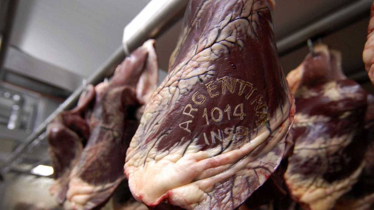 Exportación de carne vacuna retrocedió en septiembre 5,3%