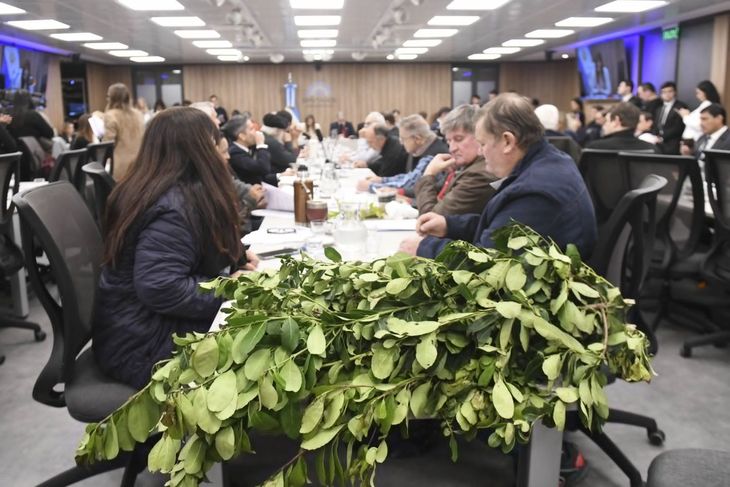 Los productores de yerba mate llevaron sus reclamos al Congreso. Los productores de yerba mate llevaron sus reclamos al Congreso.