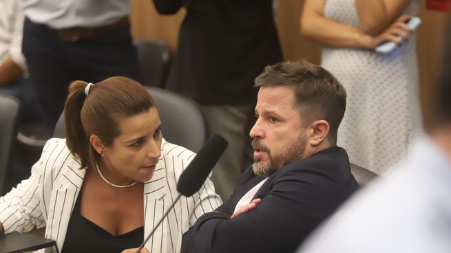 Soledad Carrizo y Martín Tetaz, diputados de la UCR.&nbsp;