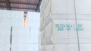 La fabricación de papel y derivados se ubica como la división de mayor incidencia sobre el Índice de Volumen Físico de la IndustriaManufacturera.