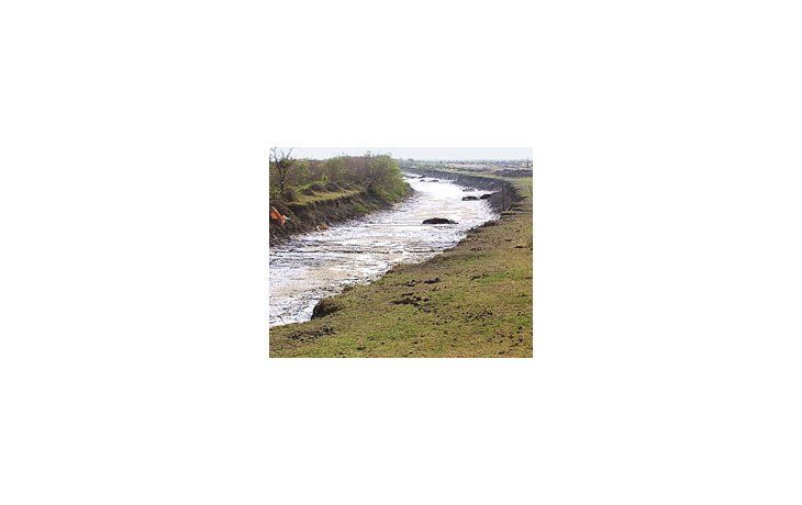 El panorama agroclimático se presenta complicado ya que aún persisten restos del episodio de La Niña.