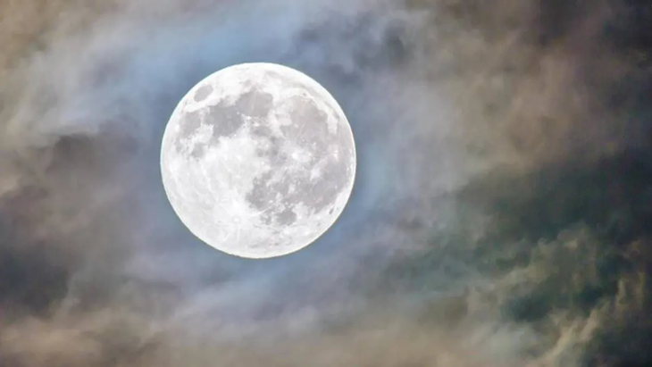 Luna Fría
