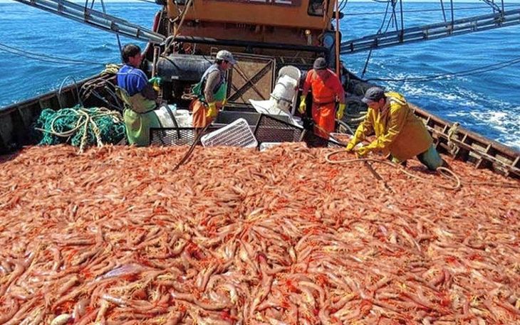 La industria de la pesca motoriza la economía en Puerto Madryn.