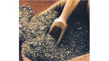 El 100% de la yerba se produce en Corrientes y en Misiones. Los productores que cuentan con menos de 10 hectáreas, que representan el 62%, aportan el 26% de la hoja verde.