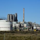 De acuerdo con la proyección de la BCR, la producción de petróleo crecería un 16% respecto de 2025 y quedaría un 11% por encima del récord histórico alcanzado hace casi tres décadas. De acuerdo con la proyección de la BCR, la producción de petróleo crecería un 16% respecto de 2025 y quedaría un 11% por encima del récord histórico alcanzado hace casi tres décadas.