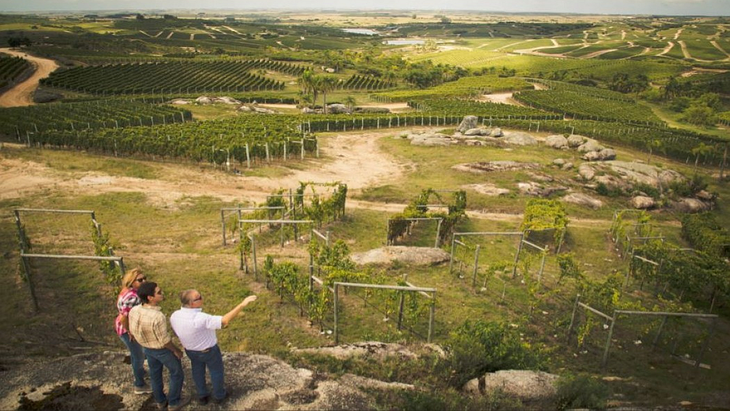Desde la Patagonia a Garzón (Uruguay), del Valle de Napa (EEUU) a Toscana (Italia), y de Burdeos (Francia) al resto de sus destinos, cada bodega del grupo Alejandro Bulgheroni Family Vineyards (ABFV) expresa su origen con autenticidad y respeto por la tierra. Desde la Patagonia a Garzón (Uruguay), del Valle de Napa (EEUU) a Toscana (Italia), y de Burdeos (Francia) al resto de sus destinos, cada bodega del grupo Alejandro Bulgheroni Family Vineyards (ABFV) expresa su origen con autenticidad y respeto por la tierra. 