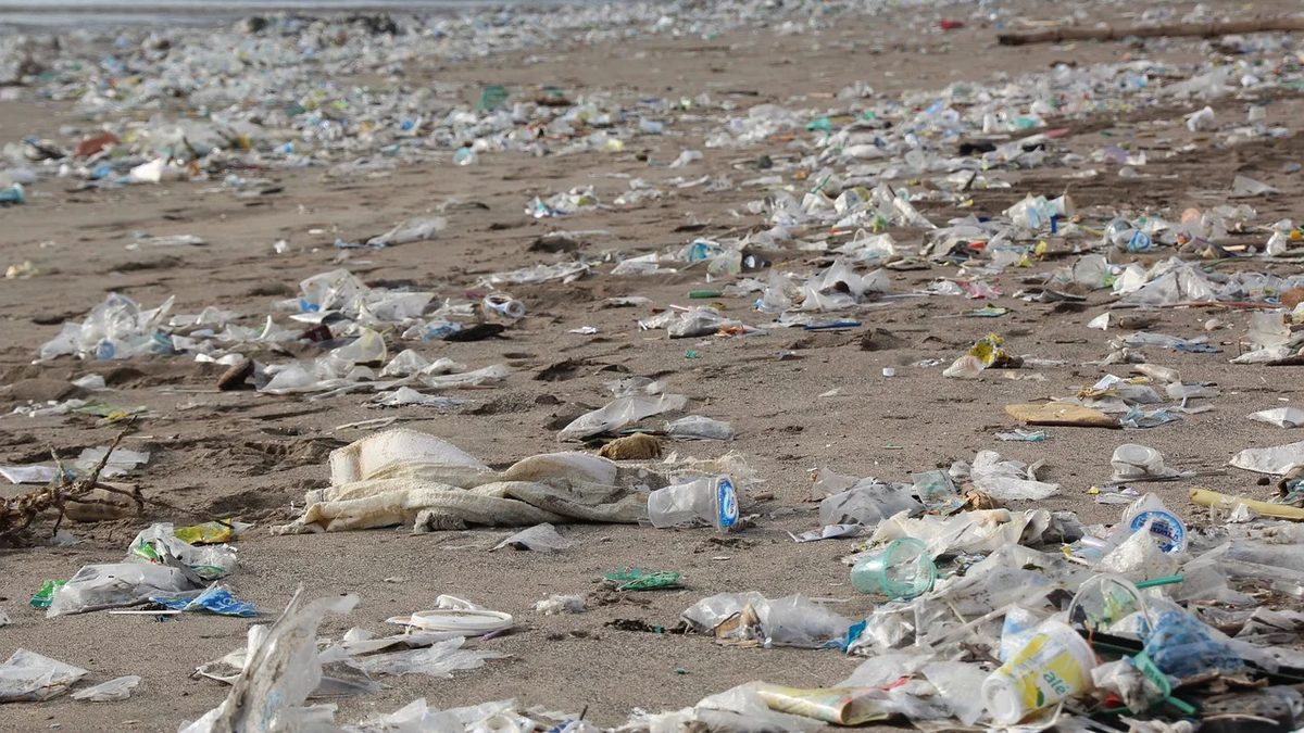 Uruguay approaches a project that penalizes environmental crimes