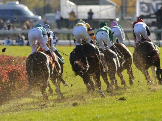 Turf: calendario y programa de carreras en el Hipódromo de Palermo