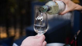 La producción de vinos orgánicos y sustentables es un fenómeno que se extiende en la industria vitivinícola nacional.