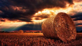 cambio climatico: pronostican malas cosechas por meteorologia extrema para 2100