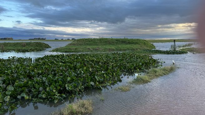 Las inundaciones afectarán a la soja, aunque se espera una buena cosecha, anticipó el ministro Fernando Mattos.