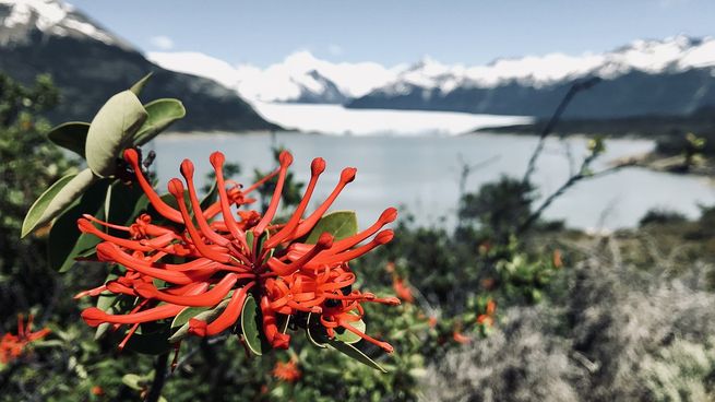 El Calafate es una de las mejores opciones para tus próximas vacaciones.