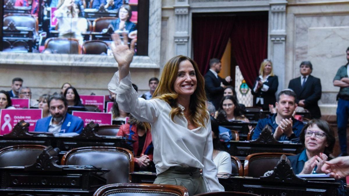 Victoria Tolosa Paz renunció como diputada para asumir en Desarrollo Social