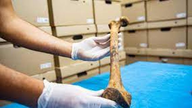 antropologia forense.jpg