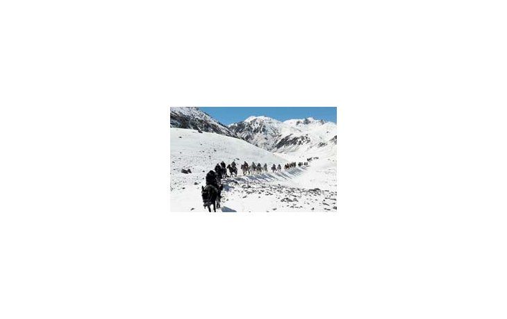 A lomo de mula, la delegación argentina sigue los pasos de San Martín desde el lunes a través de los Andes.