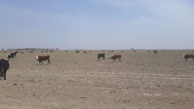 Los castigos climáticos a ciertas regiones bonaerenses impulsan un cambio normativo para otorgar permanencia a los beneficios fiscales