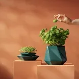 La maceta que acompaña a tu planta en su desarrollo ya llegó.