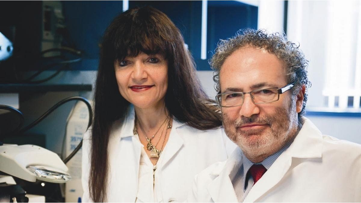 National pride: a new clinical trial against cancer by two Argentine brains