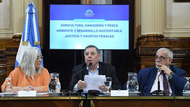 Alfredo De Ángeli será una terminal directa con Mauricio Macri en el Senado.&nbsp;