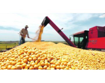 Los productores siguen con expectativas relativamente buenas sobre el futuro, pero el presente se percibe más complicado. Los productores siguen con expectativas relativamente buenas sobre el futuro, pero el presente se percibe más complicado.