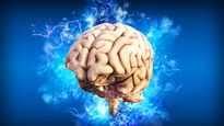 Cerebro y memoria: la importancia del sueño, según Harvard