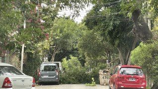 A causa del fuerte temporal, zonas del AMBA sufrieron caídas de árboles, voladuras de techos y cortes en el suministro eléctrico.