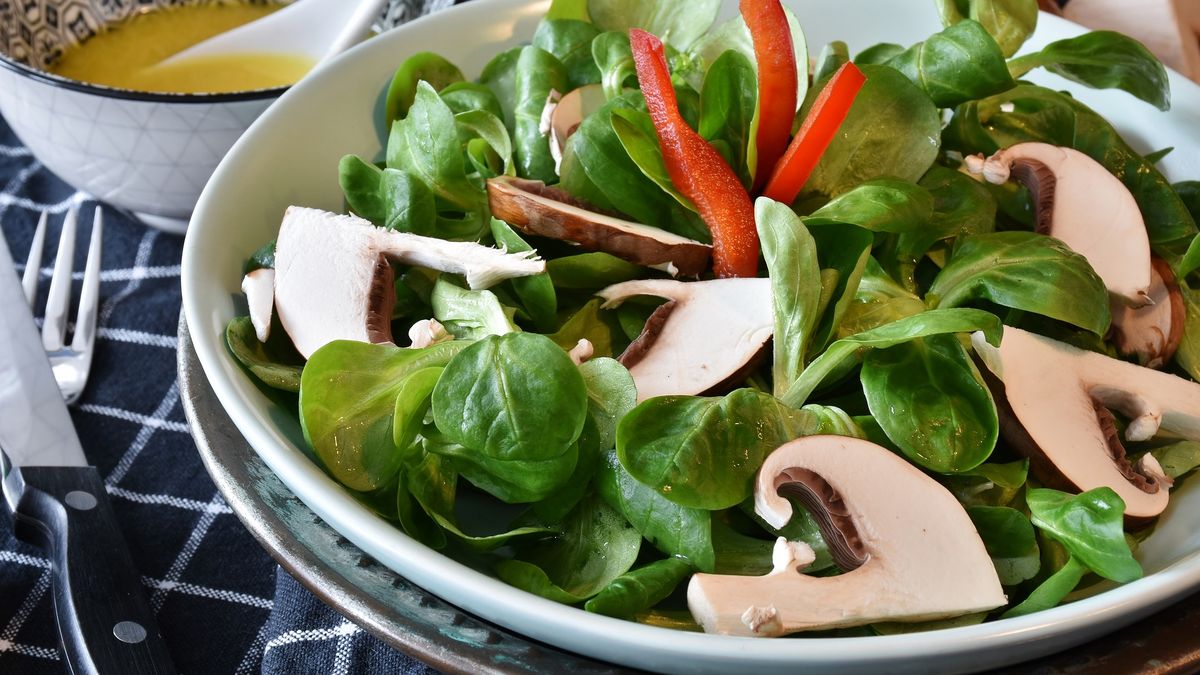 The interest of consumers in foods that replace those of animal origin is growing