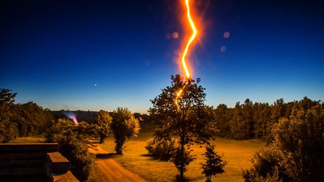 Un rayo impactó en un árbol de Florida, Estados Unidos.