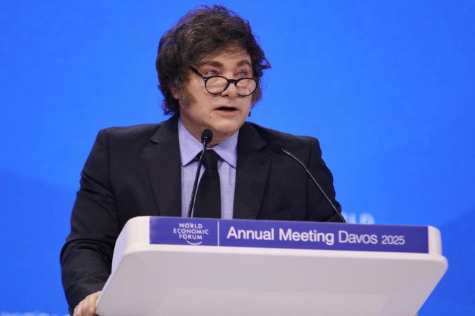 El discurso de Javier Milei en Davos despertó críticas y elogios. 