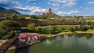 El pueblo cercano a CDMX lleno de historia donde puedes alojarte en un hotel boutique, beber el mejor vino del país y comer sabroso: ideal para marzo 2026 El pueblo cercano a CDMX lleno de historia donde puedes alojarte en un hotel boutique, beber el mejor vino del país y comer sabroso: ideal para marzo 2026