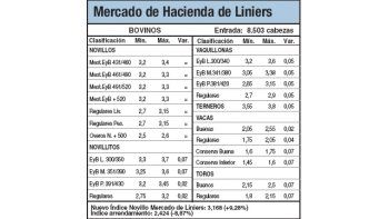 Aumentos de hasta un 9,2% en Liniers