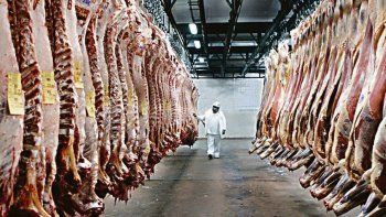 afirman que exportaciones de carne producida en provincia se cuadriplico en los ultimos 3 anos