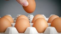 Investigan posible brote de salmonella en Jujuy: cómo prevenir