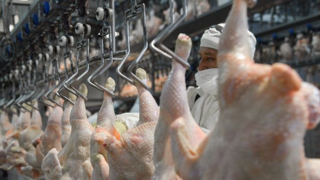 Argentina retomará el comercio de carne aviar con Japón.