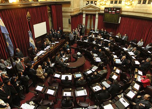 El Senado convirtió en ley el matrimonio gay (foto 1)