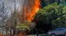The burning of the trees on Ernesto Tornquist Street. The burning of the trees on Ernesto Tornquist Street.