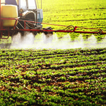 El impuesto a los fitosanitarios será eje de la pelea presupuestaria de la oposición en el Senado. El impuesto a los fitosanitarios será eje de la pelea presupuestaria de la oposición en el Senado.
