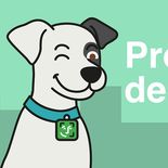 Cuenta DNI mantiene sus promociones, aunque con algunas modificaciones en los topes de reintegro. Cuenta DNI mantiene sus promociones, aunque con algunas modificaciones en los topes de reintegro.