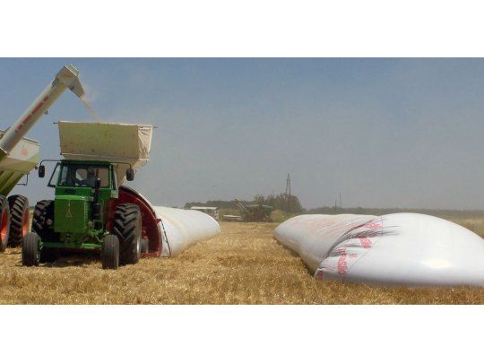 La empresa tiene alrededor de 80.000 hectáreas propias.