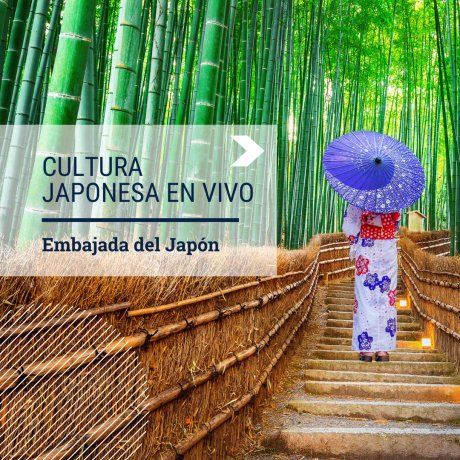 Cultura japonesa en vivo - IG(11).png