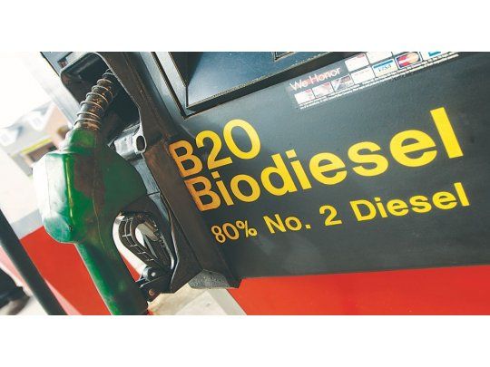 Pymes: La baja en el precio del biodiésel pone en riesgo 9 mil puestos de trabajo