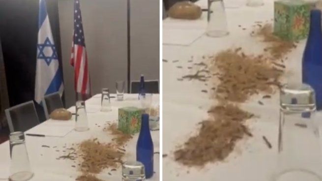 Las imágenes muestran cómo los insectos se arrastran por el mantel blanco de la mesa, con las banderas de Israel y los Estados Unidos en el fondo.