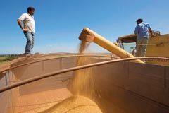 La industria láctea y el complejo sojero serán, se espera, dos de los ganadores en 2010