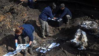 Los antropólogos se encuentran preparando la entrada a predios privados para seguir con la investigación.&nbsp;