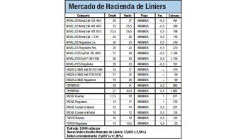 Índice Novillo cayó un 2,5% en Liniers