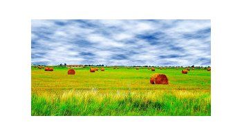 Advierten sobre la concentración de la tierra en Latinoamérica